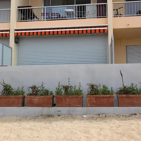 Pieds Dans L'eau Ajaccio (Corsica)