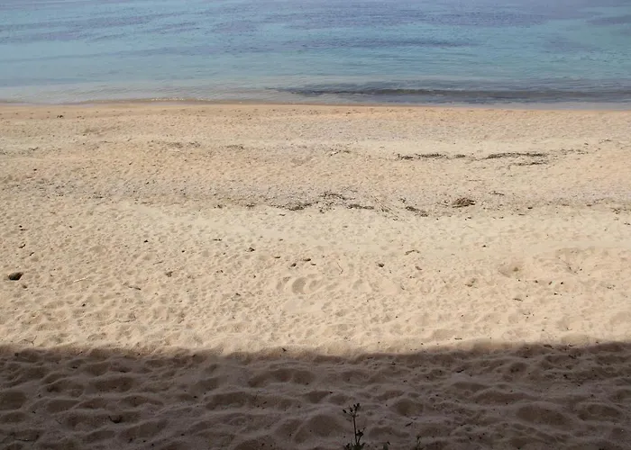 Pieds Dans L'eau *
