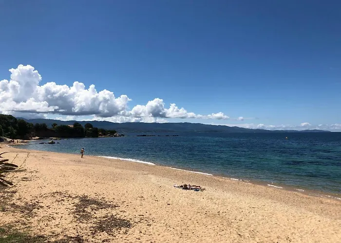 Pieds Dans L'eau Appartamento *